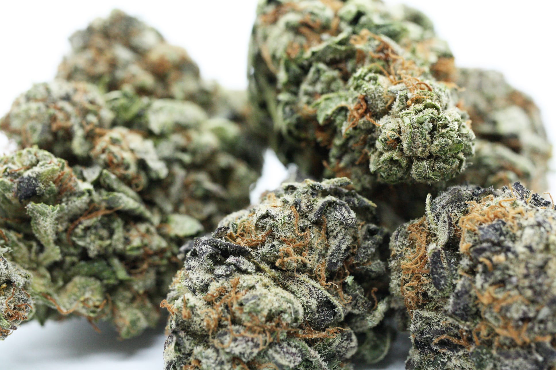 Kush Cookies 1g Dried Flower