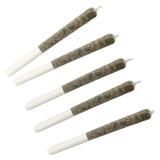 Wildcat Serum Pocket Rockets 5 x 0.5g Infused Pre-Rolls