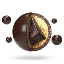 Lord Jones Chocolate Fusions Fudge Brownie Bite 1:1:1 THC|CBD|CBN 5 pack Chocolate