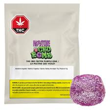 No Future CBD Bomb - The CBD Pectin Purple One 1x10g soft chew