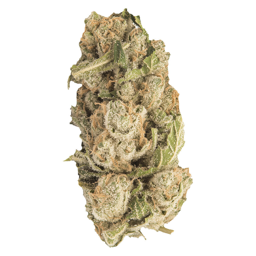 Sherblato 28g Dried Flower