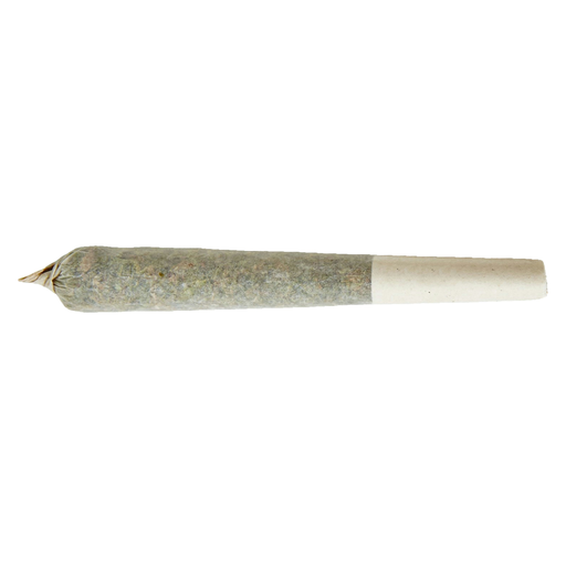 Watermelon G-Bear 1 x 1 Distillate Infused Pre-Roll