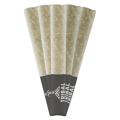 Gran Turismo 5 x 0.5g Pre-Rolls