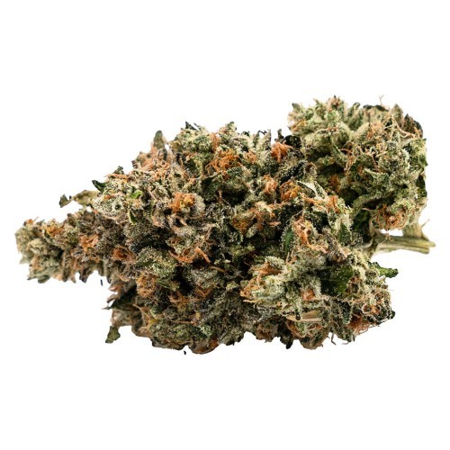West Coast Gas Old School Fuel 7g Dried Flower