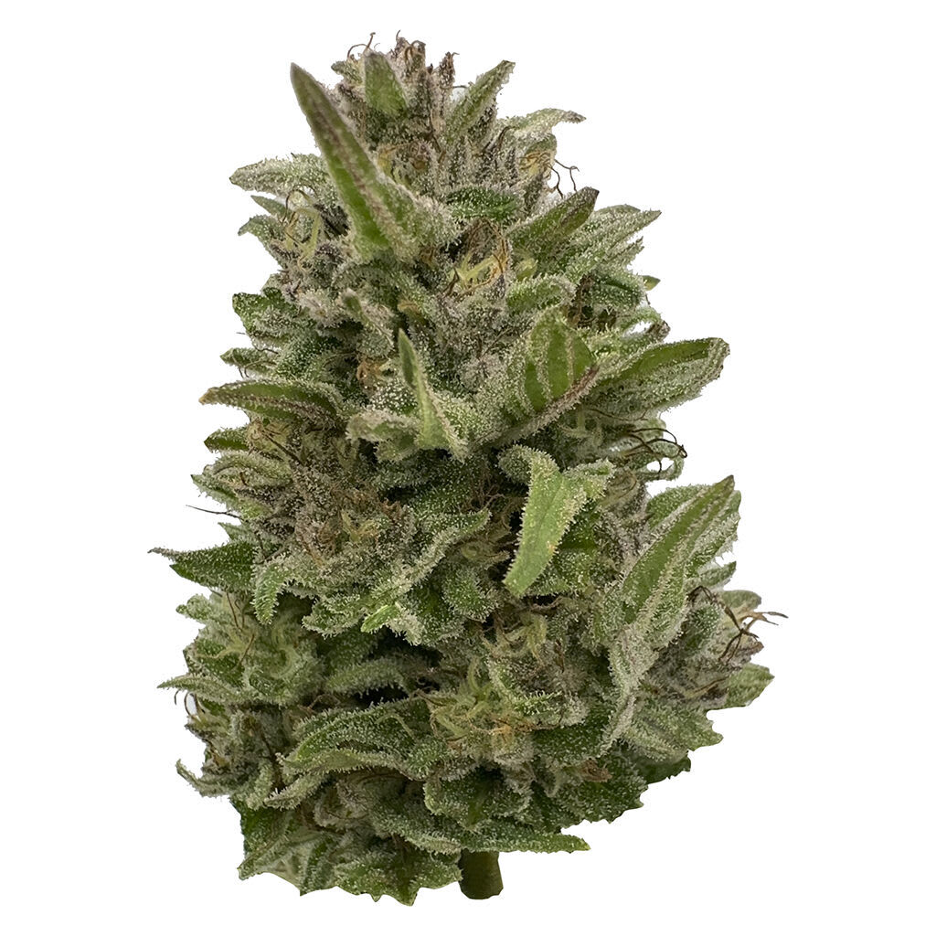 Pass n Dream 28g Dried Flower