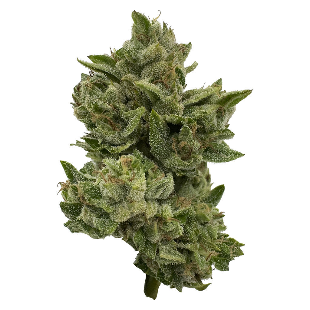 Pass n Play 28g Dried Flower